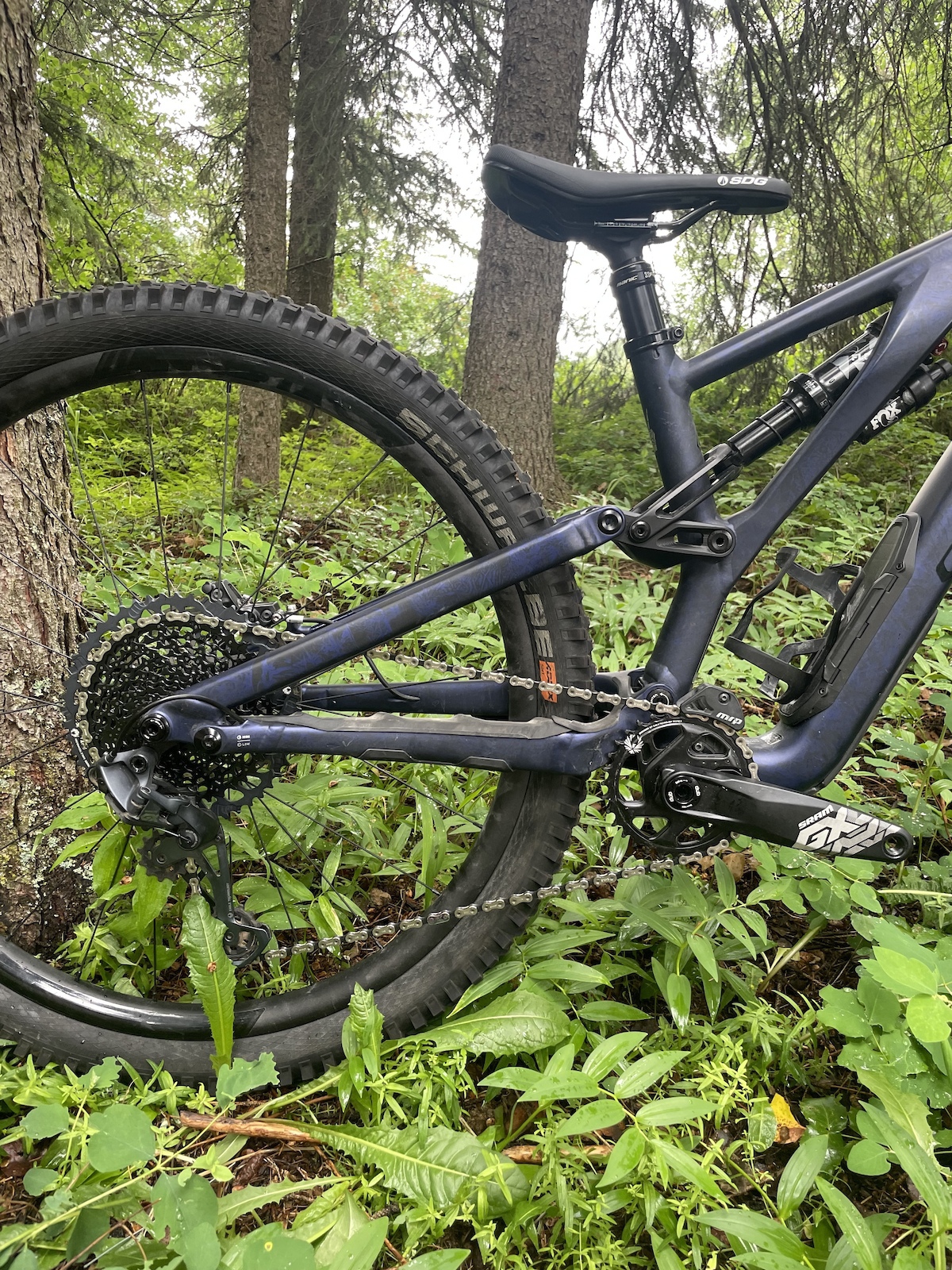 bike-pictures