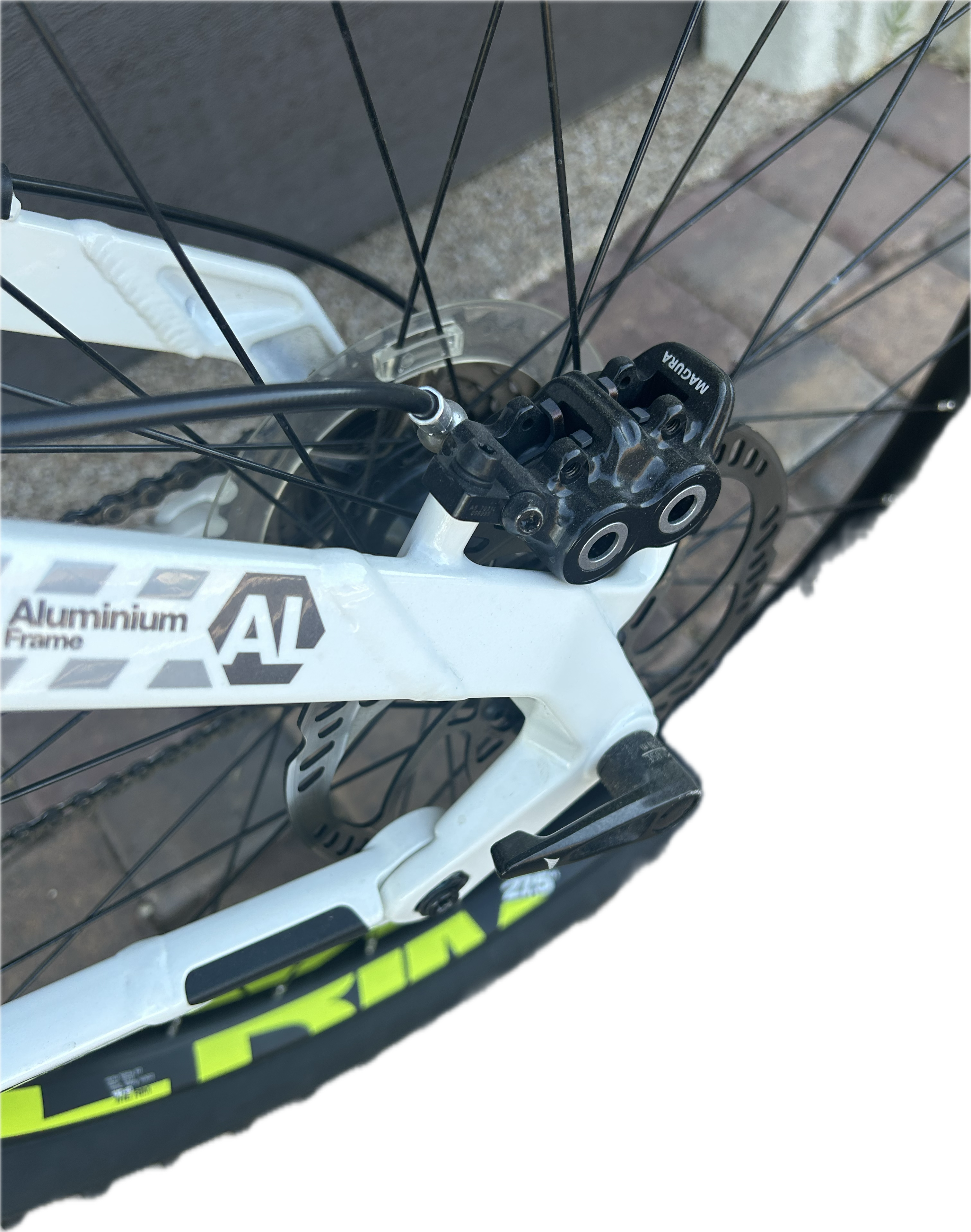 bike-pictures