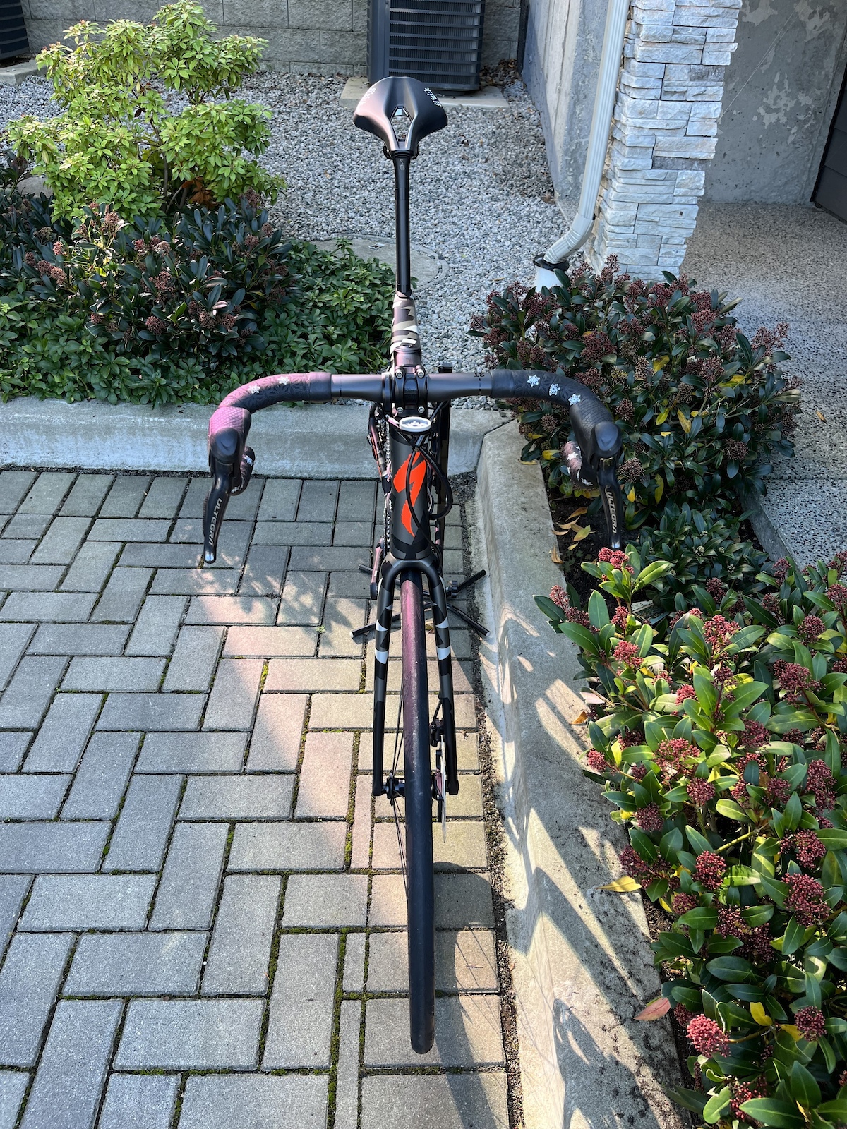 bike-pictures