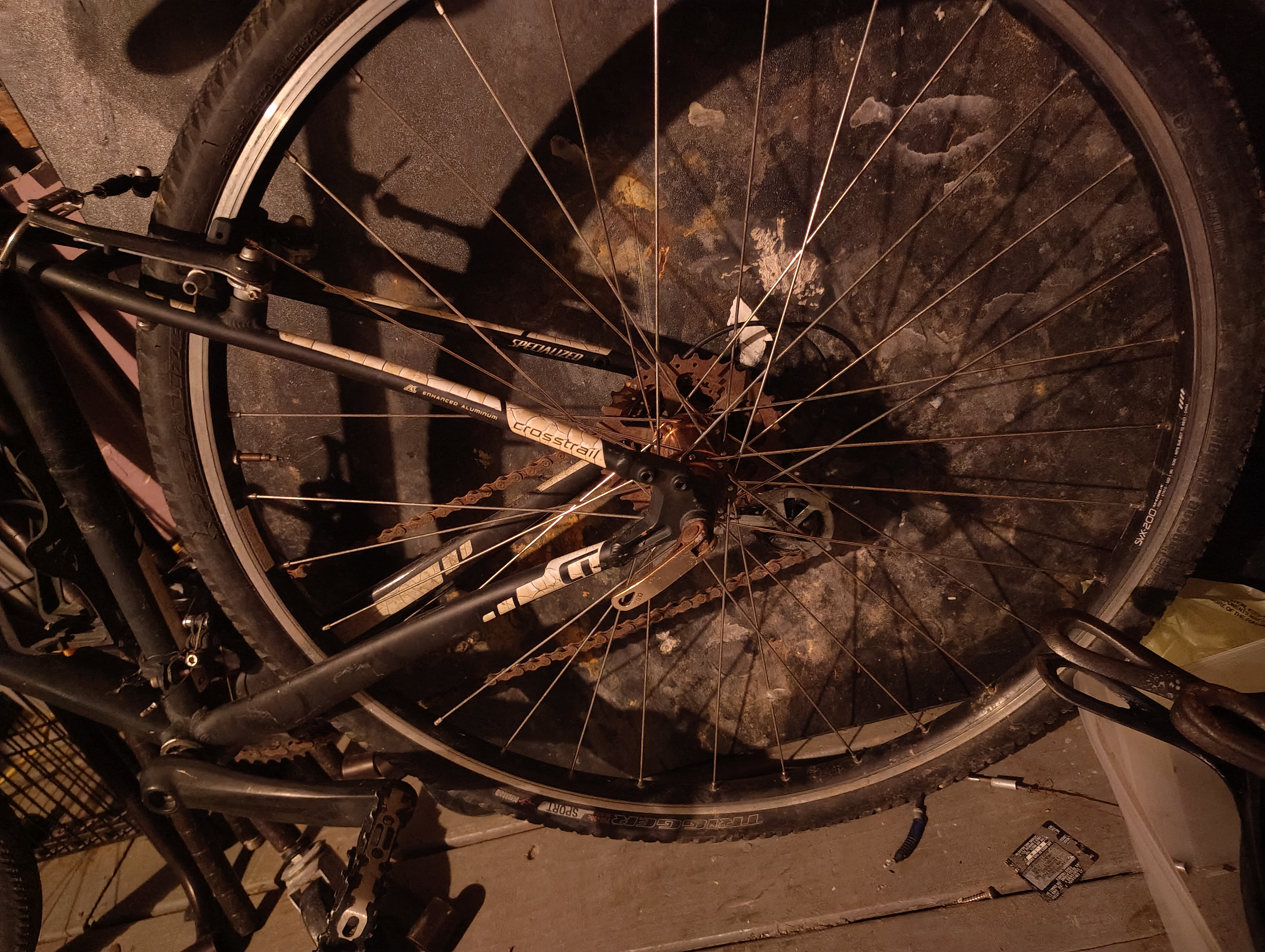 bike-pictures
