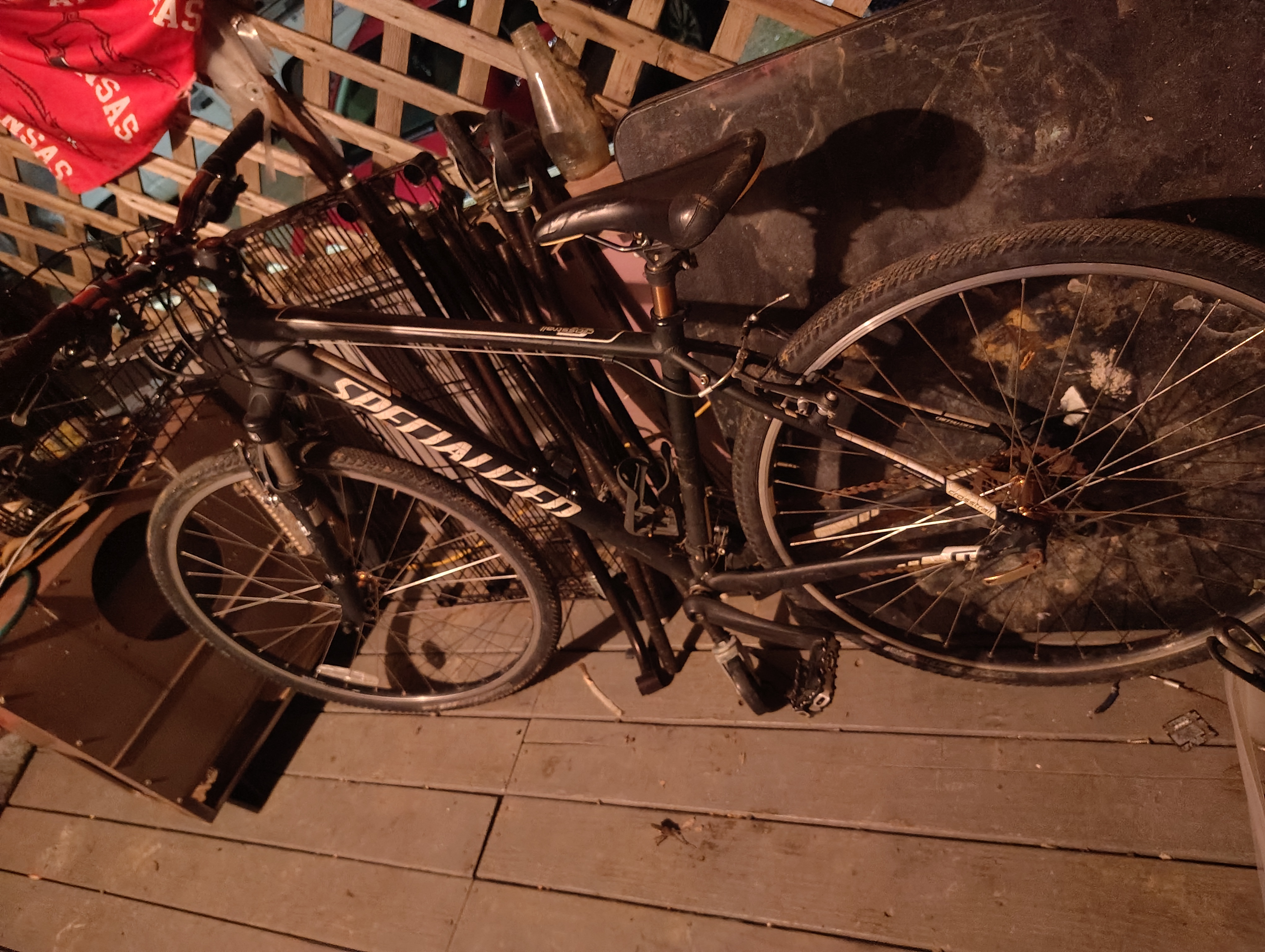 bike-pictures