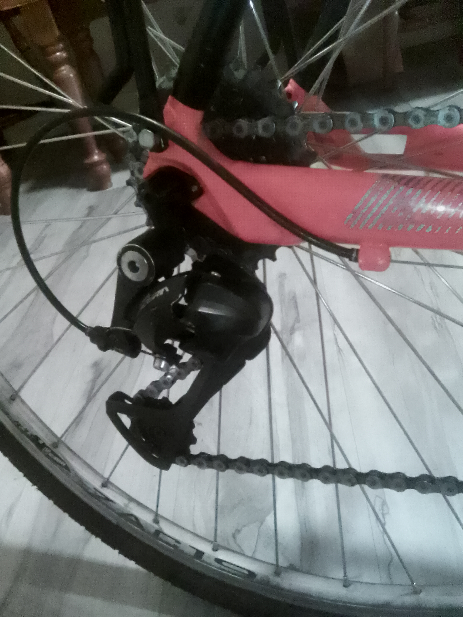 bike-pictures