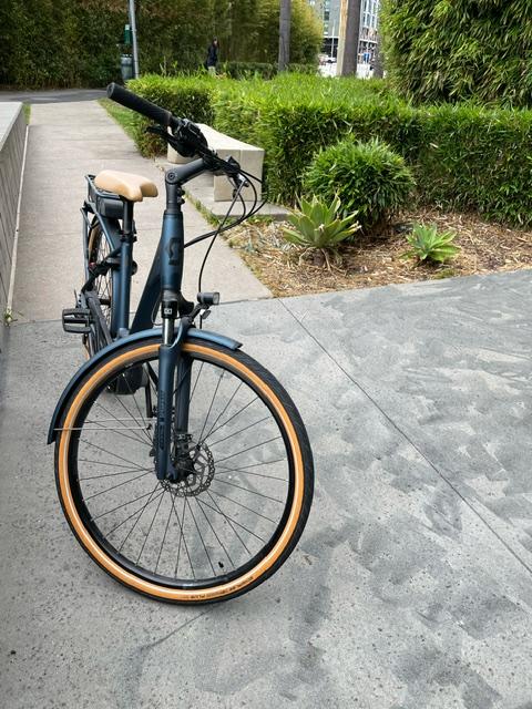 bike-pictures
