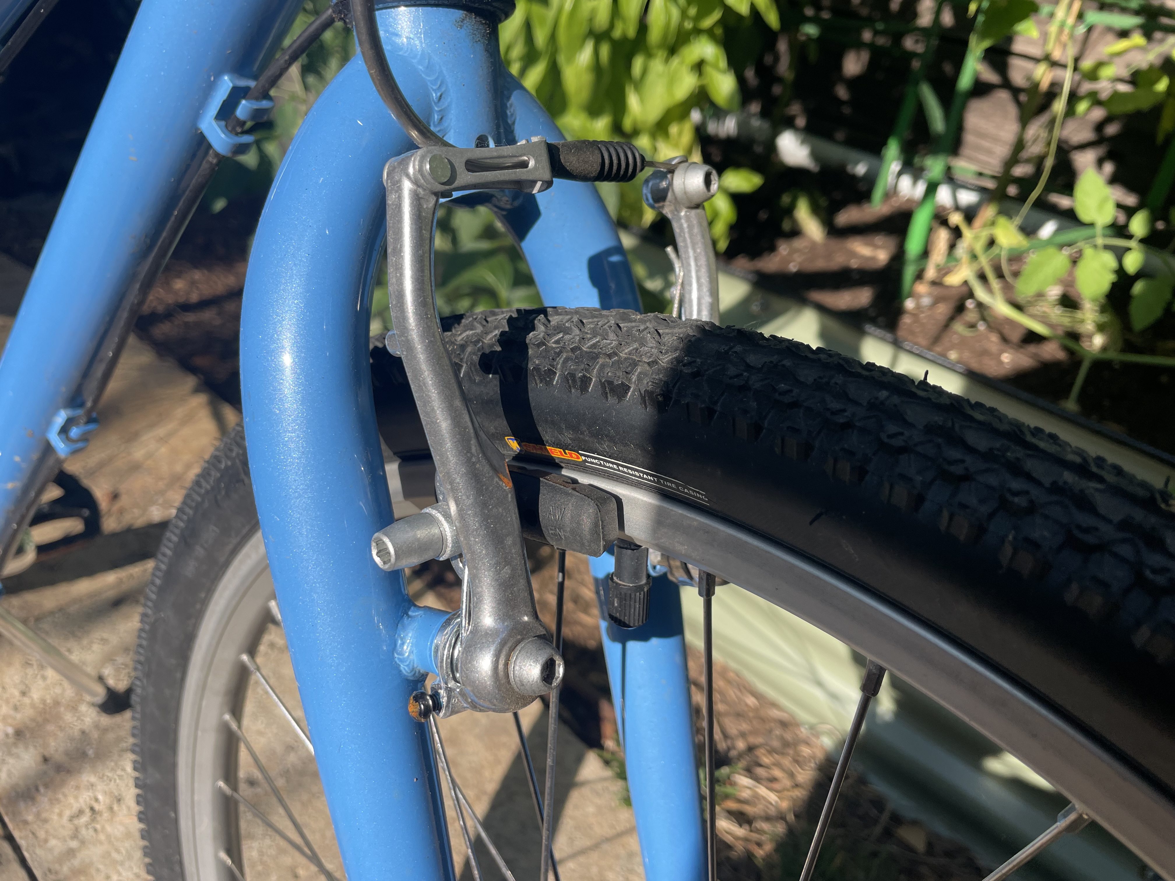 bike-pictures