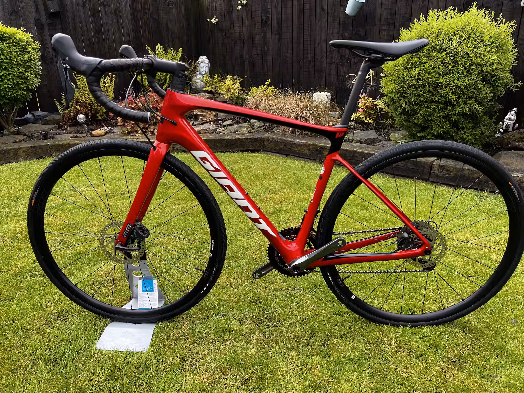 bike-pictures