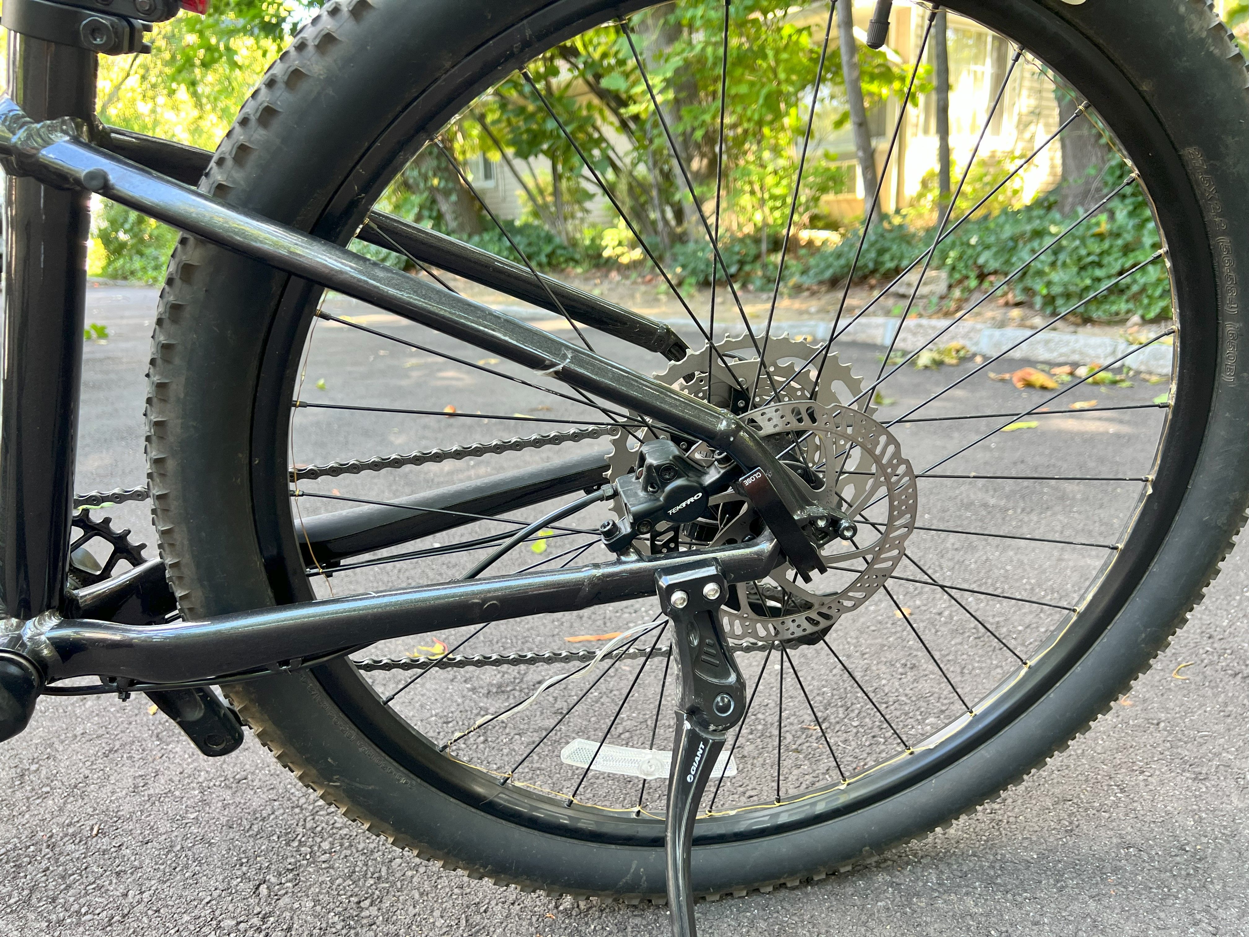 bike-pictures