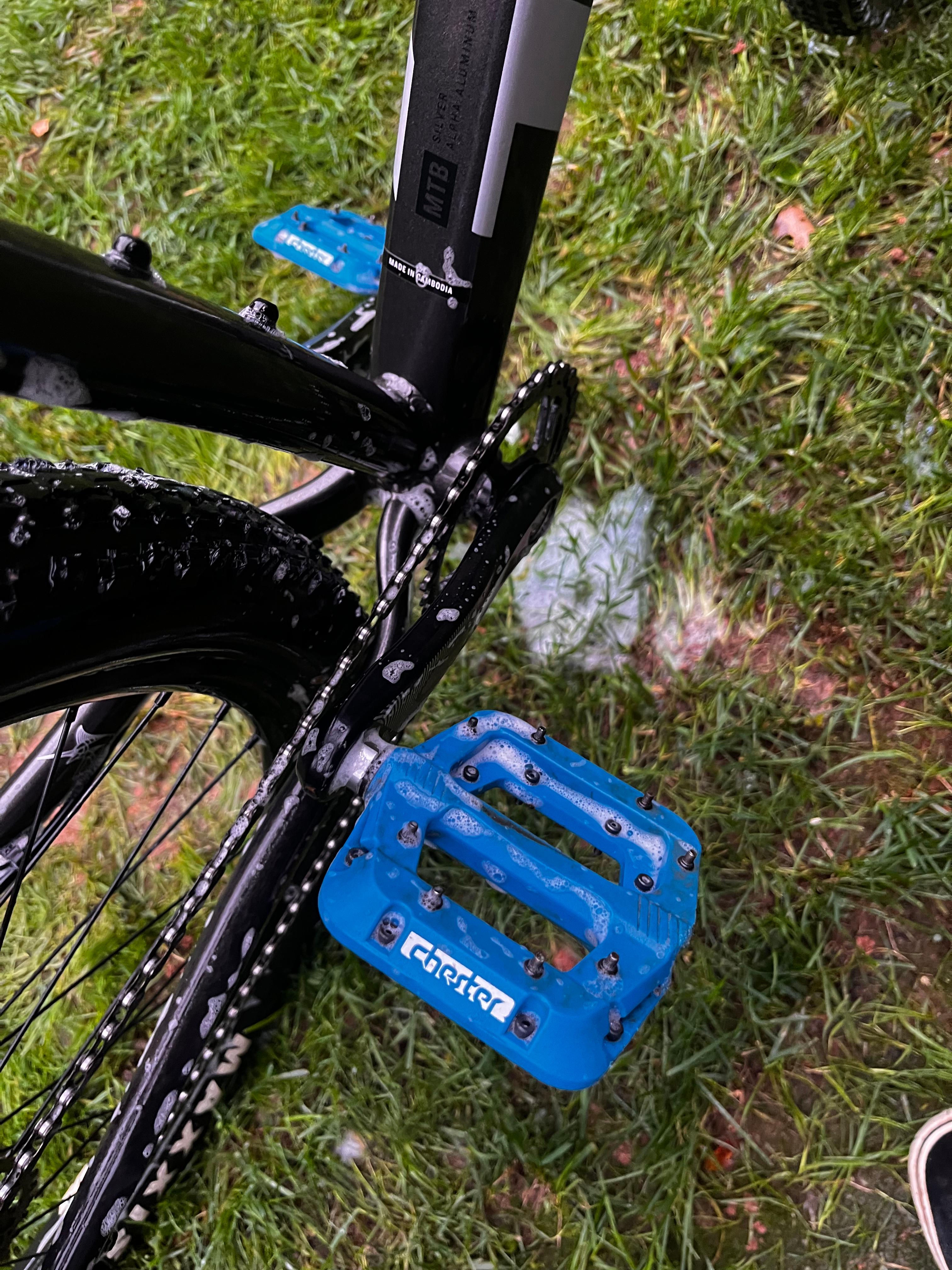 bike-pictures
