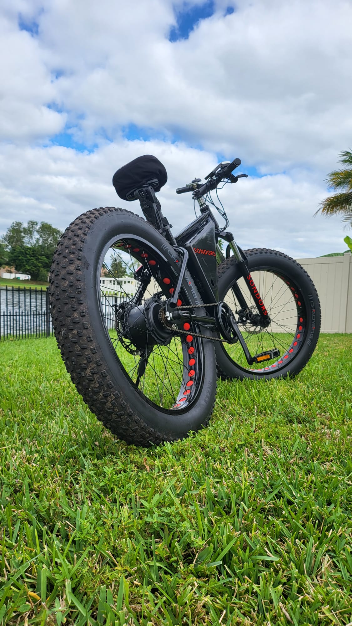 bike-pictures