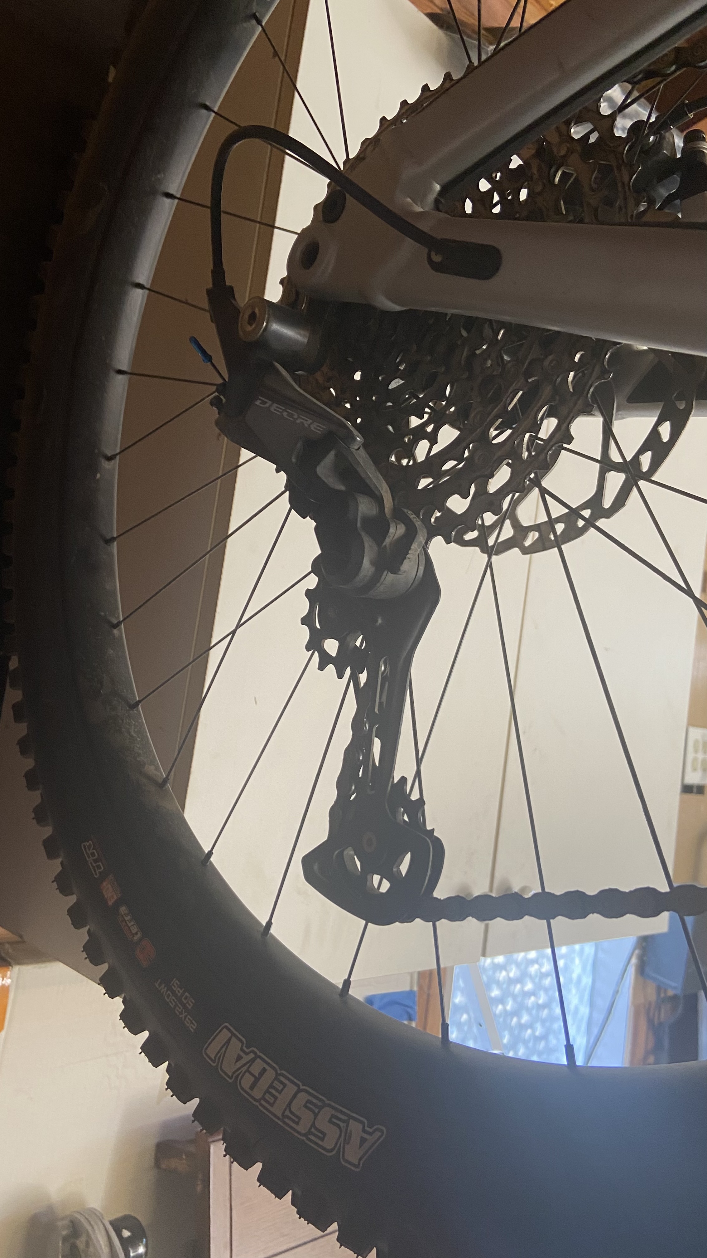 bike-pictures