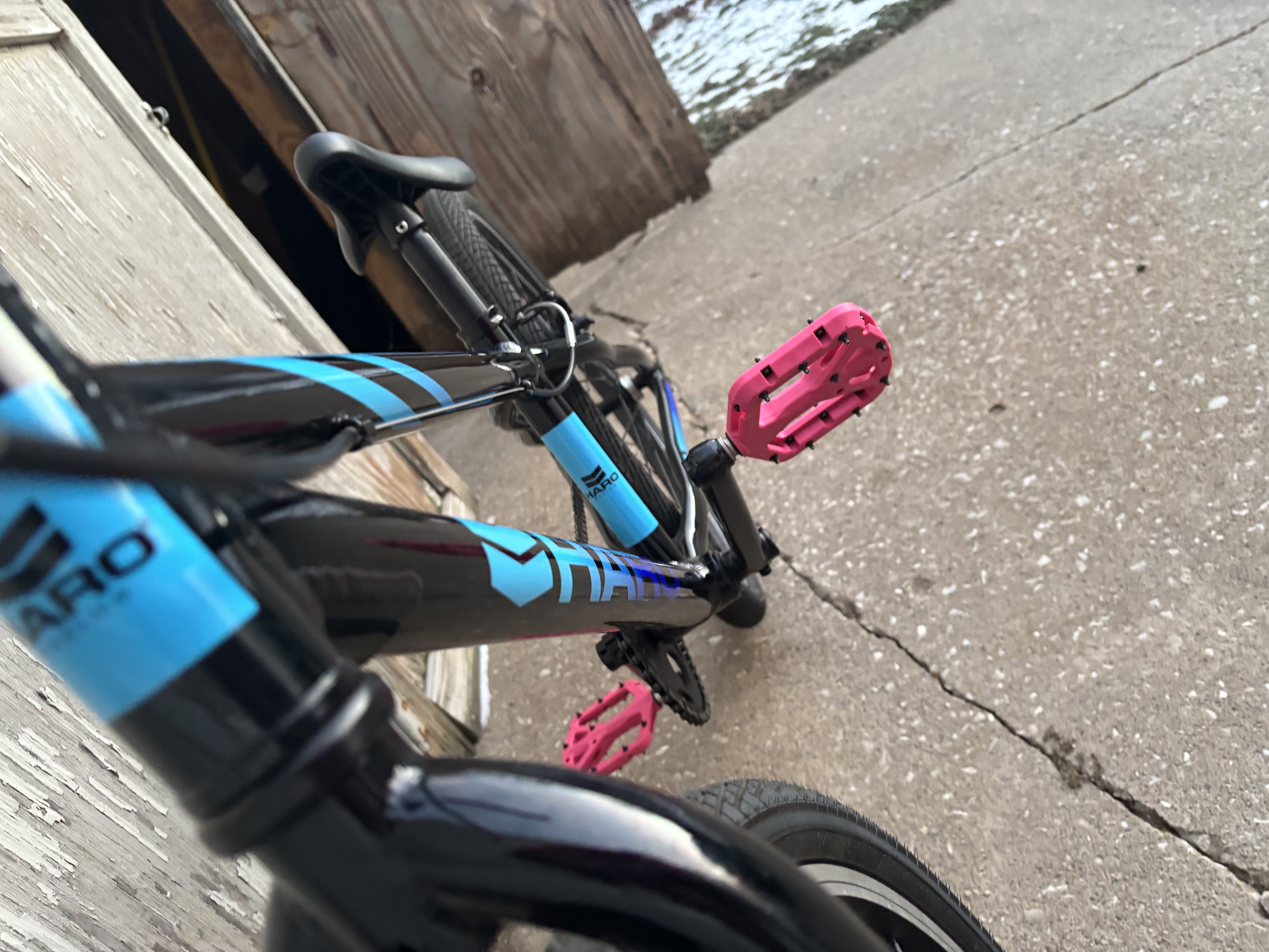 bike-pictures