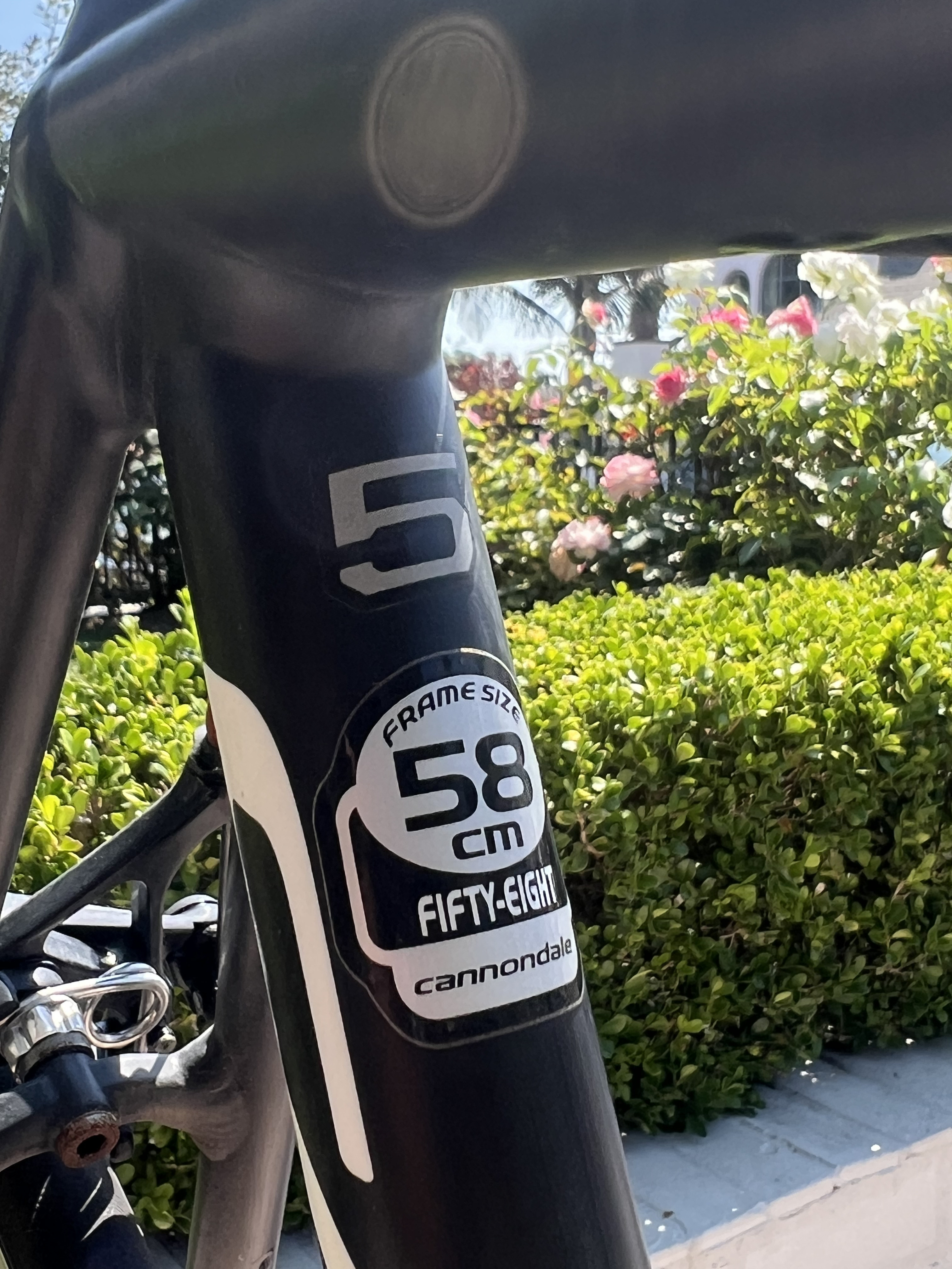 Cannondale Caad Cannondale Bike Serial Number Lookup 2012