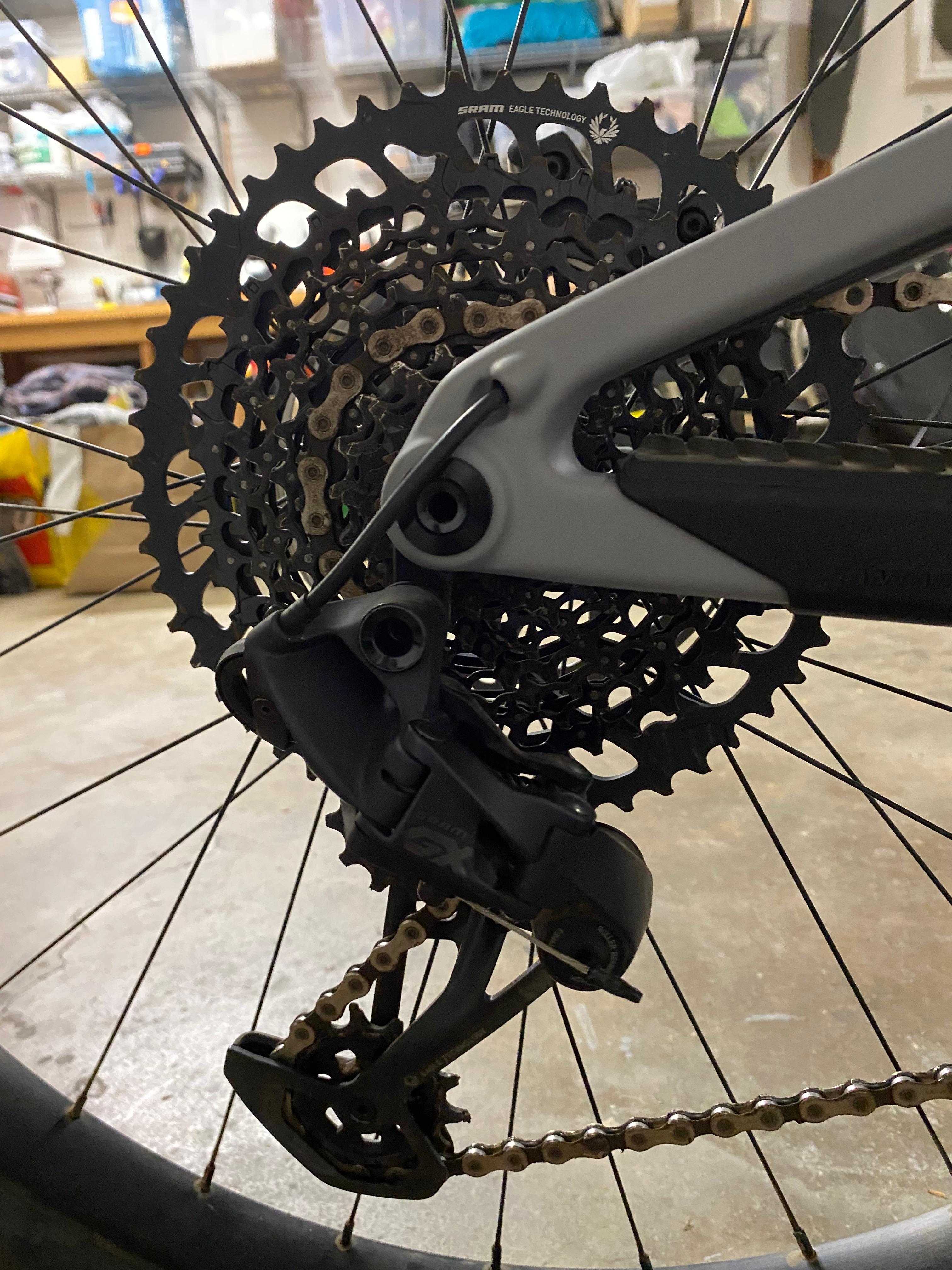 bike-pictures