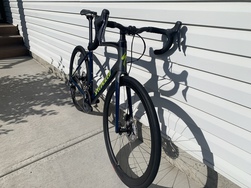 2020 Specialized Roubaix Expert Specia 