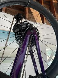 2020 Trek Fuel EX 8 Women's 