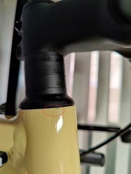 bike-pictures