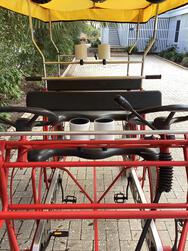 bike-pictures