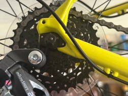 bike-pictures