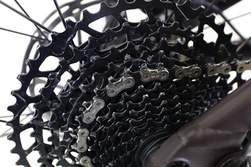bike-pictures